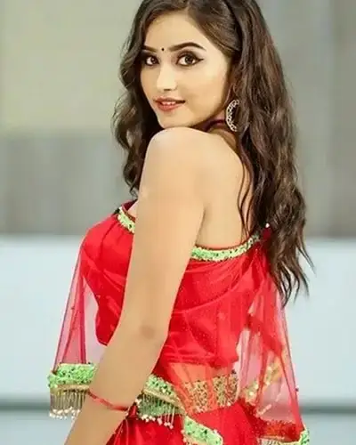 Call Girl Service in Ajni